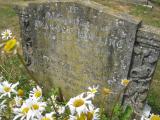 image of grave number 502551